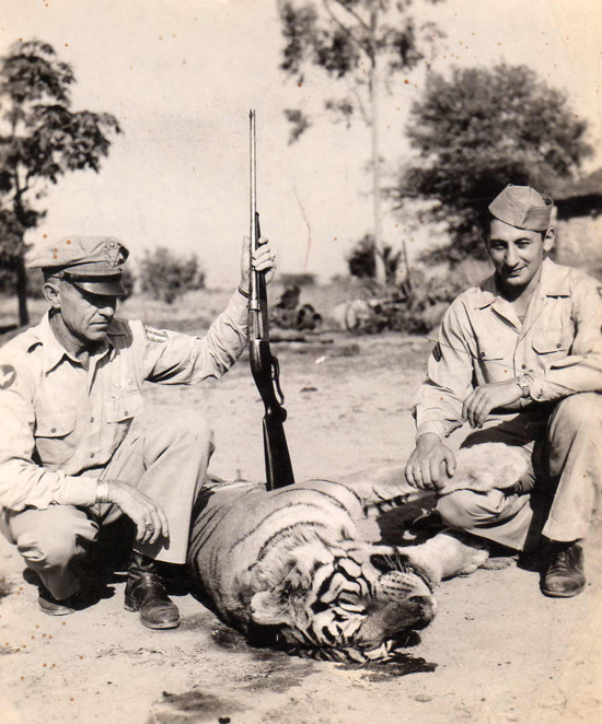 Bengal Tiger Kill, March 17, 1945